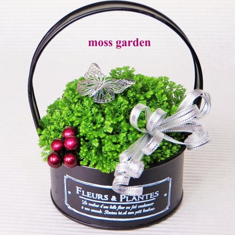 ★Moss  garden★