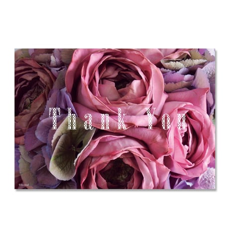 メッセージカード［Thank You］