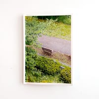 The Bench
