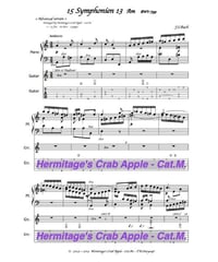 Symphonien 13　< Advanced version >