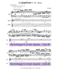 Symphonien 1　< Basic version >