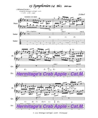 Symphonien 14　< Advanced version >