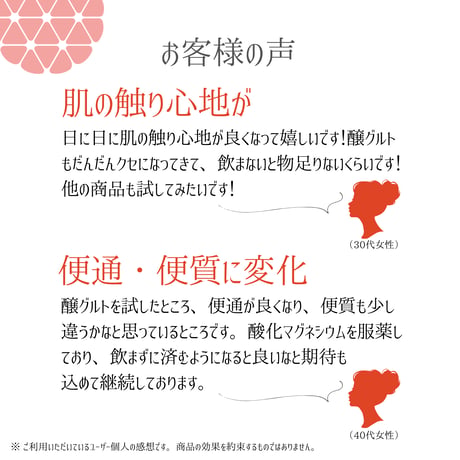 【お得な定期便】毎日続ける＊醸グルト～酒粕ヨーグルト[1㎏×2P]の定期便コース