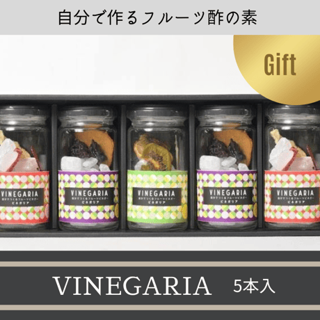 【お酢で腸活生活】自分で作るフルーツビネガー VINEGARIA（ビネガリア）5本セット【箱付き】ギフト 詰め合わせ お菓子 贈り物 人気 お酢 酢ドリンク 飲むお酢