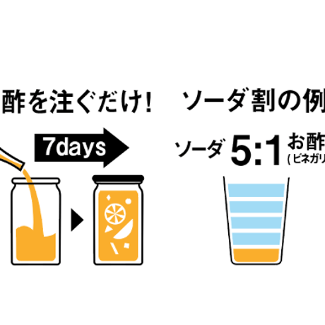自分で作るフルーツビネガー VINEGARIA（ビネガリア）3本ギフトセット
