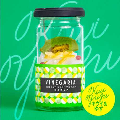 【お酢で腸活】自分で作るフルーツビネガー VINEGARIA（ビネガリア）【単品】お酢 酢ドリンク 飲むお酢