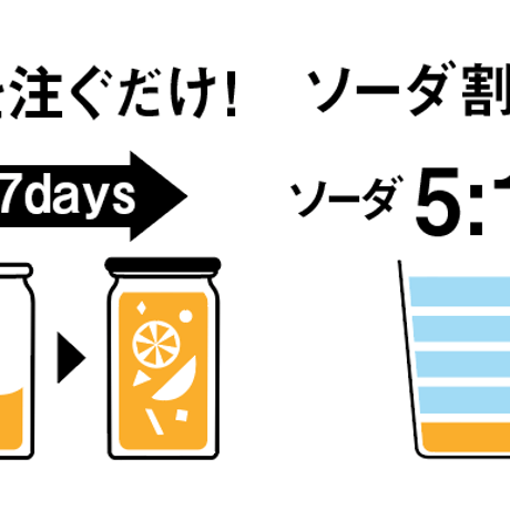 【お酢で腸活】自分で作るフルーツビネガー VINEGARIA（ビネガリア）【単品】お酢 酢ドリンク 飲むお酢