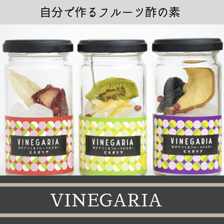 【お酢で腸活】自分で作るフルーツビネガー VINEGARIA（ビネガリア）【単品】お酢 酢ドリンク 飲むお酢