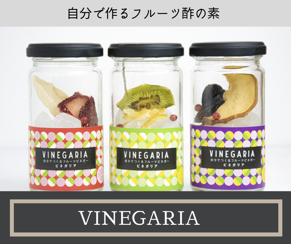 お酢で腸活】自分で作るフルーツビネガー VINEGARIA（ビネガリア