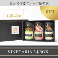 自分で作るフルーツビネガー VINEGARIA（ビネガリア）3本ギフトセット
