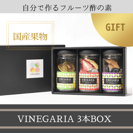 【お酢で腸活生活】自分で作るフルーツビネガー VINEGARIA（ビネガリア）3本セット【箱付き】ギフト 詰め合わせ 贈り物 人気 お酢 酢ドリンク 飲むお酢