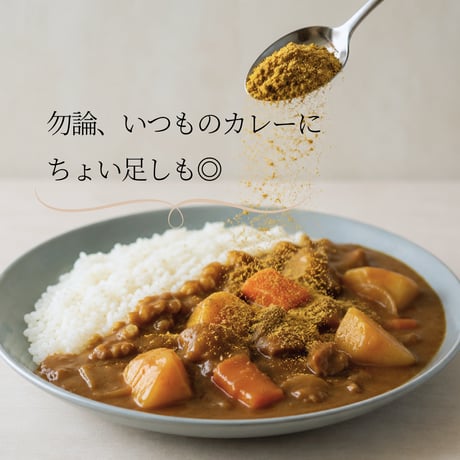 【発酵スパイスシリーズ】Sacarry（サカリー）～酒粕スパイスカレーの素　グルテンフリー/手作り発酵カレー