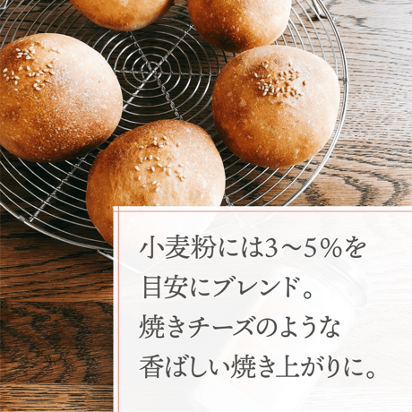 【お得な定期便】毎日続ける＊酒粕パウダー（乾燥粉末酒粕）［100g×2袋］定期便コース