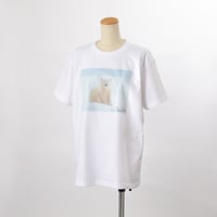 しろくまプリントTシャツ（2026表紙）