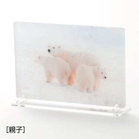 しろくまアクリルポストカードスタンドセット