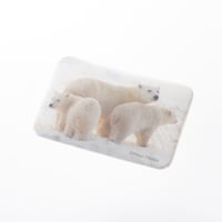しろくまスクエア缶バッジ