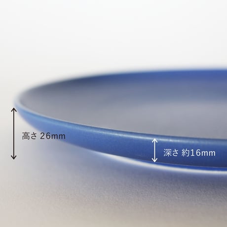 aina Plate L