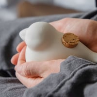 TETANPO（小鳥）