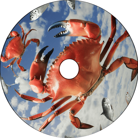 【Blu-ray】【お】龍之介ライブ映像コレクション2024 『前進する蟹、飛翔する魚』＠下北沢ロフト(1カメ・Blu-ray)／「龍之介ふんわり歌留多【お】の組」付き