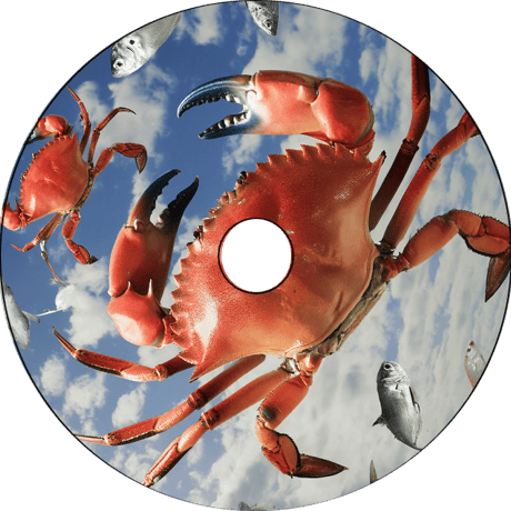 【DVD】【お】龍之介ライブ映像コレクション2024 『前進する蟹、飛翔する魚』＠下北沢ロフト(1カメ・DVD)／「龍之介ふんわり歌留多【お】の組」付き