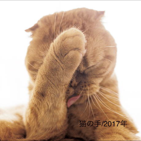 猫の手 | STORES