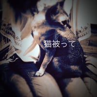 2015.6.28 １st配信シングル「猫被って」