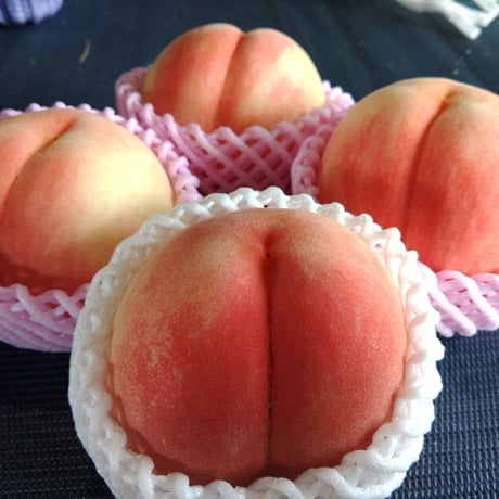 古山果樹園オンラインストア