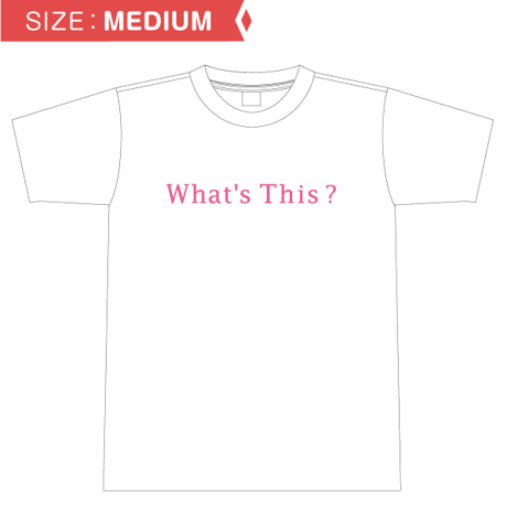 【限定】これなにフェス Tシャツ　Mサイズ＜送料全国一律700円＞