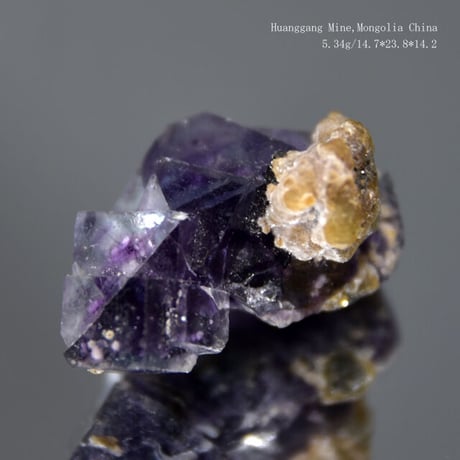 フローライト(Monglia,China)