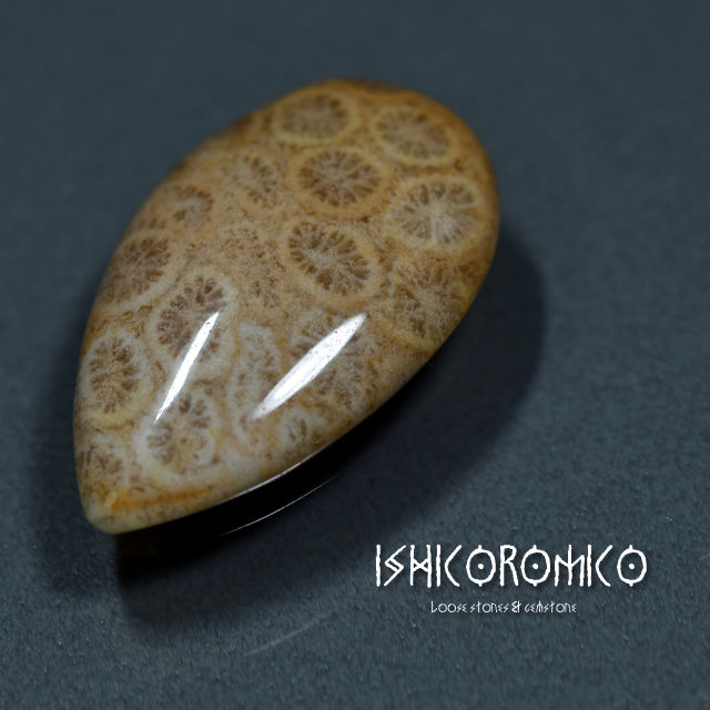 化石珊瑚(フォッシルコーラル)／インドネシア産 | 手磨き天然石