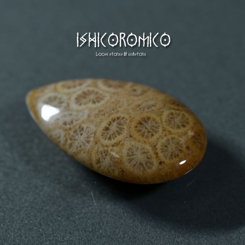 化石珊瑚(フォッシルコーラル)／インドネシア産 | 手磨き天然石のお店