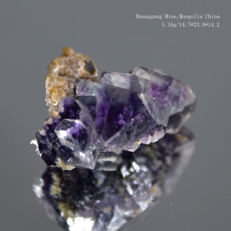 フローライト(Monglia,China)