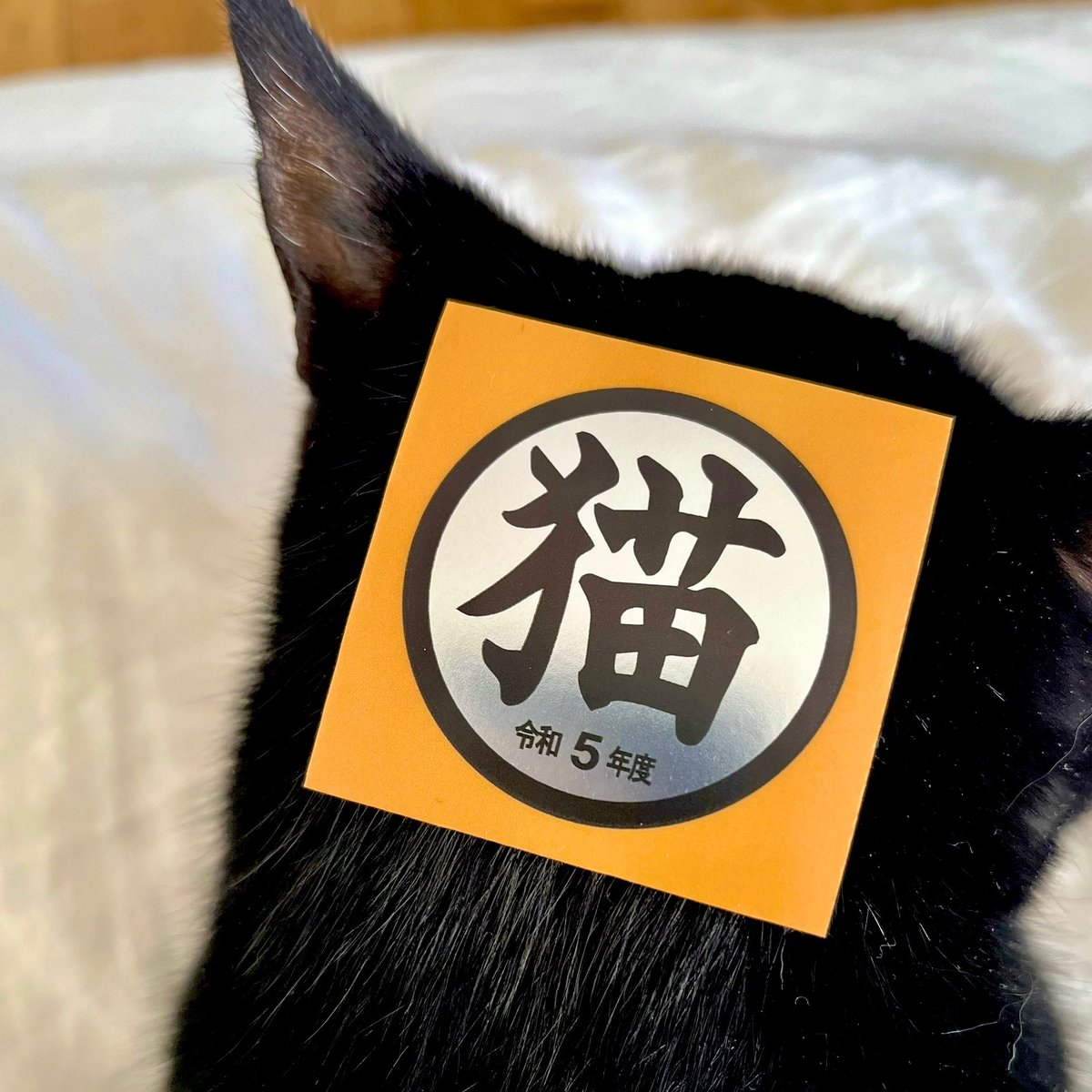 猫シール（令和5〜7年度） | bellkuro
