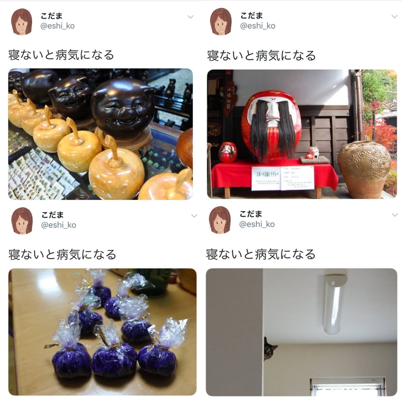 こだまさん こだまさん ＠淀川河川敷 | M's photos