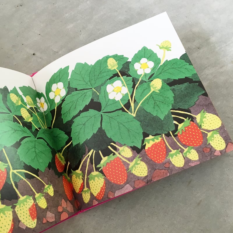 ⭐︎いちごです⭐︎ いちごです | MARBLE & Co.