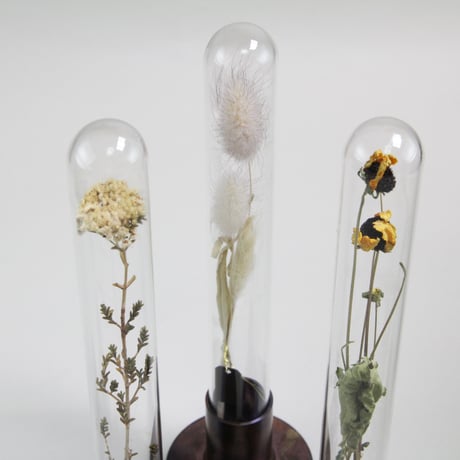 HERBARIUM BRASS GLASS DOME &  FLOWER VASE      RUST