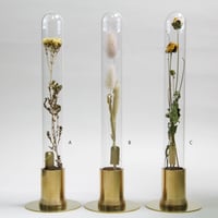 HERBARIUM BRASS GLASS DOME &  FLOWER VASE　SOLID