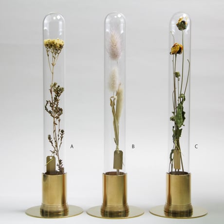 HERBARIUM BRASS GLASS DOME &  FLOWER VASE　SOLID