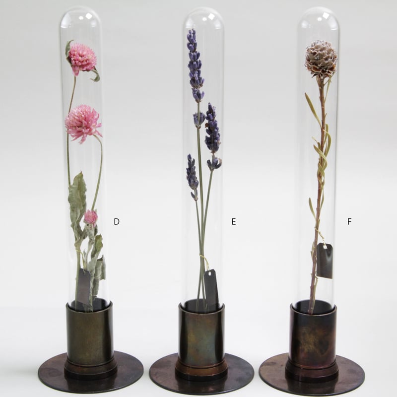 HERBARIUM BRASS GLASS DOME & FLOWER VASE HERBARIUM BRASS GLASS DOME & FLOWER VASE