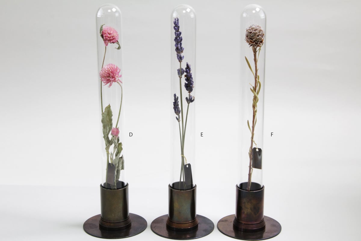 HERBARIUM BRASS GLASS DOME & FLOWER VASE HERBARIUM BRASS GLASS DOME & FLOWER VASE