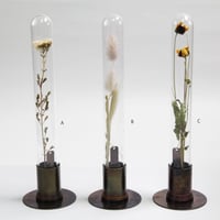 HERBARIUM BRASS GLASS DOME &  FLOWER VASE      RUST