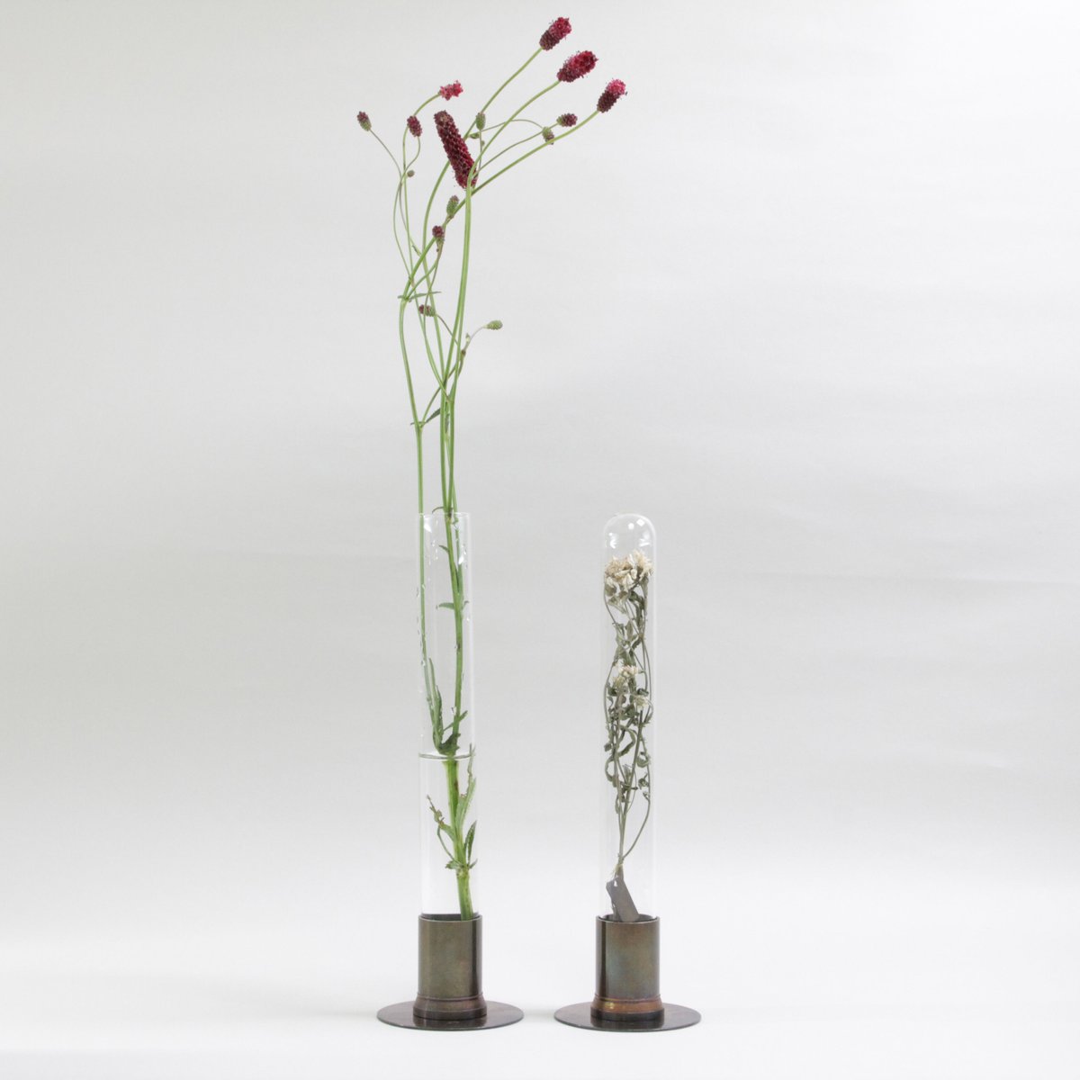 HERBARIUM BRASS GLASS DOME & FLOWER VASE RUST