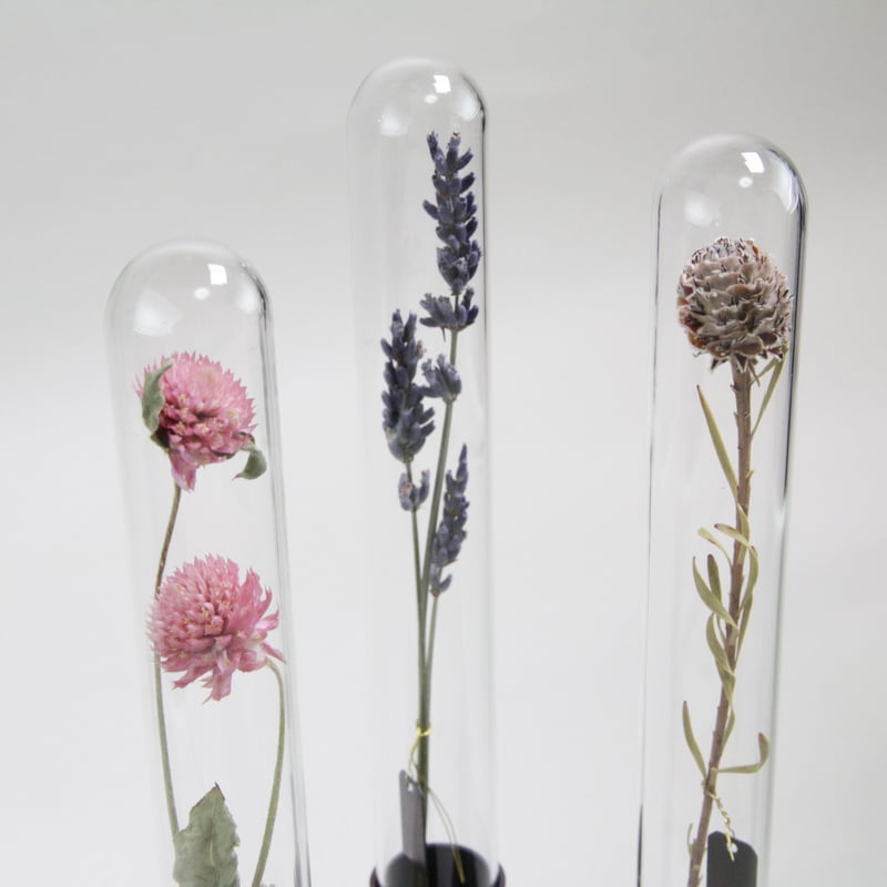 HERBARIUM BRASS GLASS DOME & FLOWER VASE HERBARIUM BRASS GLASS DOME & FLOWER VASE