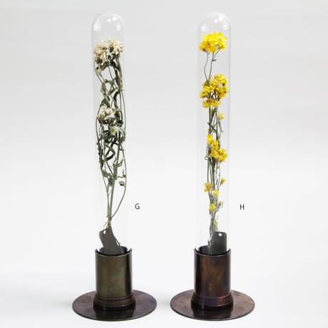 HERBARIUM BRASS GLASS DOME &  FLOWER VASE      RUST