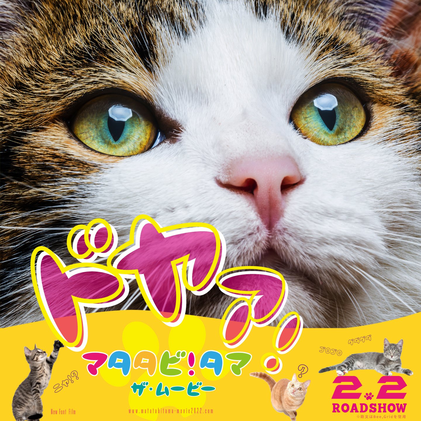 ドラネコ様用 ドラネコ（2セット） | ChibaDesign