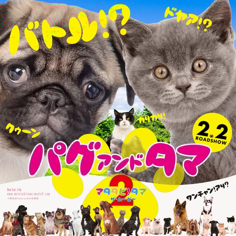 ドラネコ（2セット） | ChibaDesign