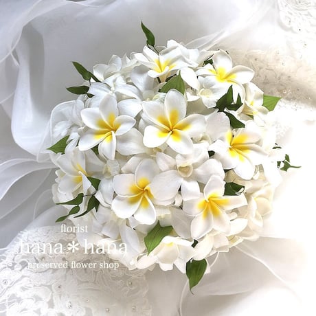 プルメリアブーケ | STORES