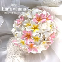 プリザーブドフラワー 花冠 プルメリア | 【フラワー装飾技能士