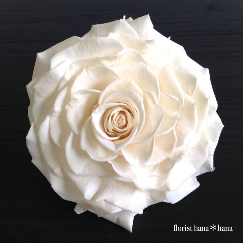 プリザーブドフラワー ローズメリア | 【フラワー装飾技能士