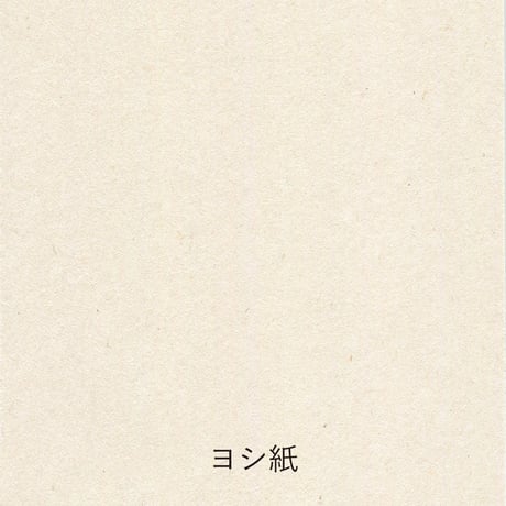 Paper tasting 和紙 Washi vol.3